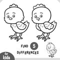 Cute cartoon Chicken bird, Find differences educational game for children