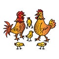 Cute cartoon chicken family isolated on white background Royalty Free Stock Photo