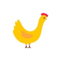 Cute cartoon chicken vector illustration. Hen isolated Royalty Free Stock Photo