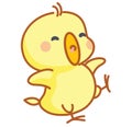 Cute cartoon chicks posing