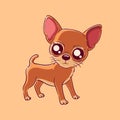 Cute cartoon chihuahua