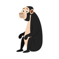 Cute cartoon chimpanzee vector illustration