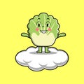 Cute cartoon chinese cabbage holding in cloud Royalty Free Stock Photo