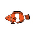 Cute cartoon clownfish on a white background