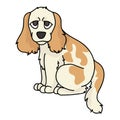 Cute cartoon cocker spaniel puppy dog vector clipart. Pedigree kennel doggie breed for dog lovers. Purebred domestic puppy for pet