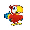 Cute cartoon colorful macaw