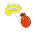 Cute cartoon concept with funny bug: ladybird, flower. Royalty Free Stock Photo