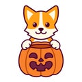 Cute cartoon Corgi dog with Halloween pumpkin