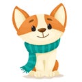 Cute cartoon Corgi puppy with a turquoise scarf around his neck. Vector illustration on a white background.