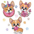 Cute Cartoon Corgi on a white background