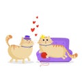 Cute cartoon couple of cats in love. Male and female kittens in love Royalty Free Stock Photo