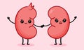 Cute cartoon couple of happy kidneys character