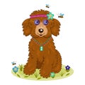 Cute cartoon curly brown hippie dog sits on a lawn