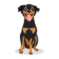 Cute cartoon dog, pinscher or terrier. Illustration, children\'s print vector