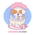 Cute cartoon dog wearing pink shower cap is sitting in sudsy bathtub is playing with yellow rubber duckies. Adorable kawaii pet