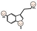 Cute cartoon dopamine molecule structure vector illustration