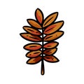 Cute cartoon drawn autumn rowan leaf. Isolated logo graphic symbol