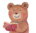 Cute cartoon drawn brown funny bear holding a book and smiling