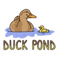 Cute cartoon duck and duckling with text vector clipart. Wildlife animal waterfowl for nature lovers. Stylized fun kids