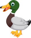 Cute cartoon duck Royalty Free Stock Photo