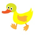 Cute cartoon duck isolated on a white background Royalty Free Stock Photo