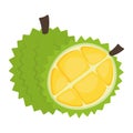 Animated Durian Fruits Icon Clipart Hand Drawing Vector Illustration Image