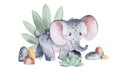 Cute cartoon elephant. African savannah animal. Watercolor illustration of an animal. Royalty Free Stock Photo