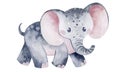 Cute cartoon elephant. African savannah animal. Watercolor illustration of an animal. Royalty Free Stock Photo