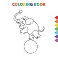 Cute cartoon elephant on ball at circus coloring book for kids. black and white vector illustration for coloring book. elephant on Royalty Free Stock Photo