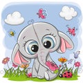 Cute Cartoon Elephant on a meadow