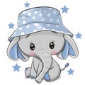 Cute Elephant in panama hat isolated on a white background Royalty Free Stock Photo