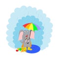 A cute cartoon elephant stands in the rain with an umbrella in rubber boots. autumn. vector flat illustration