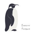 Cute cartoon emperor penguin, isolated on white Royalty Free Stock Photo
