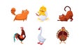 Cute cartoon farm animals and pets set, cats, cock, chicken, turkey, goose vector Illustration Royalty Free Stock Photo