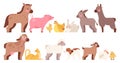 Cute cartoon farm animals set. Little foal, goat, ship, donkey, cow