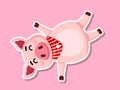 Cute cartoon fat Pig Sticker on color background. Vector Illustration cartoon style