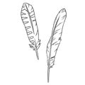 Cute cartoon feathers doodle image. Media highlights graphic symbol. Freehand drawing quill. Vector illustration. Isolated on