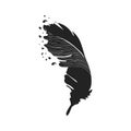 Cute cartoon feathers doodle image. Media highlights symbol. Freehand drawing quill. Vector illustration. Isolated on white