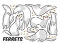 Cute cartoon ferrets set in outline. Vector illustration