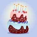 Cute cartoon festive cake with candles. Chocolate biscuit with cherries and blueberries. for parties, birthdays. Isolated element Royalty Free Stock Photo