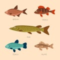 Cute cartoon flat fishes