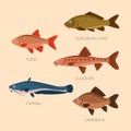 Cute cartoon flat fishes