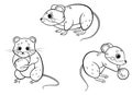 Cute cartoon forest vole or mouse vector coloring page outline set. Vole in different postures. Mouse holding berry. Forest