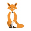 Cute cartoon fox vector illustration Royalty Free Stock Photo