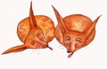 Colorful watercolor sleepy foxes with tongue. Cute animal illustration. Watercolor graphic for fabric, postcard