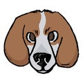 Cute cartoon foxhound hunting dog face vector clipart. Pedigree kennel doggie breed for dog lovers. Purebred doggy for pet parlor