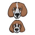 Cute cartoon foxhound puppy and adult hunting dog face vector clipart. Pedigree kennel baby doggie breed for dog lovers Royalty Free Stock Photo