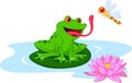 Cute cartoon frog catching dragonfly Royalty Free Stock Photo