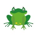 Cute cartoon frog vector illustration