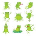 Cute cartoon frogs. Green croaking toad on lotus leaves in pond. Vector animal characters set